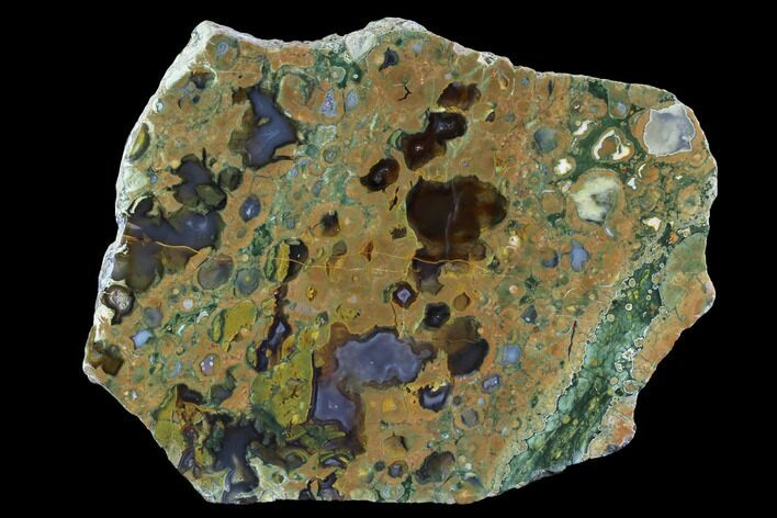 Polished Rainforest Jasper (Rhyolite) Section - Australia #95904